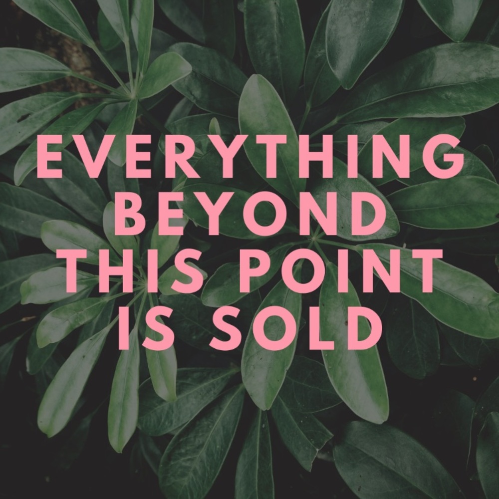 Sorry, everything beyond this point is sold!
